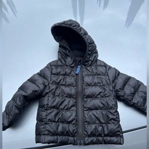 Primary Jacket 6-12 Months